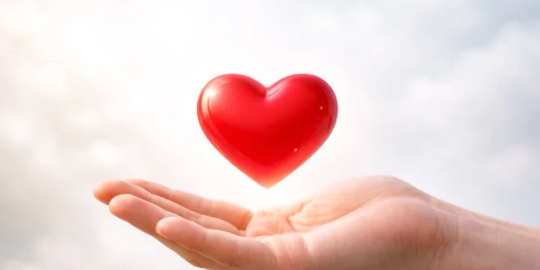 Illustration article