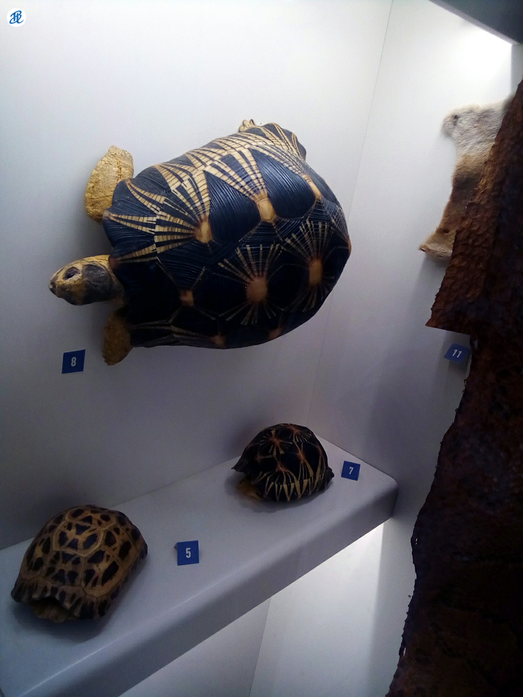 20201016_jardin-de-l-etat-museum046.png