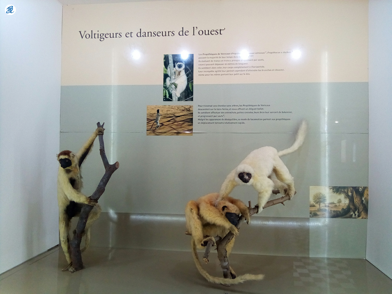 20201016_jardin-de-l-etat-museum056.png