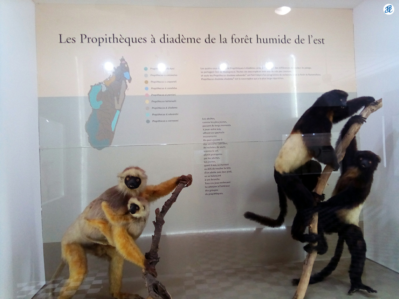 20201016_jardin-de-l-etat-museum057.png