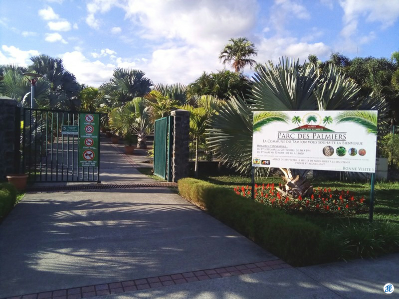 20190517_parc-des-palmiers002.png