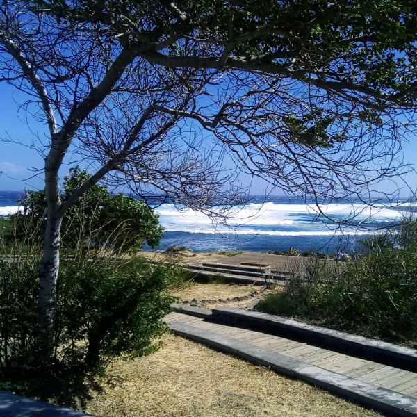Bord de Mer de la côte Ouest
