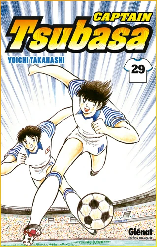 Tome 29